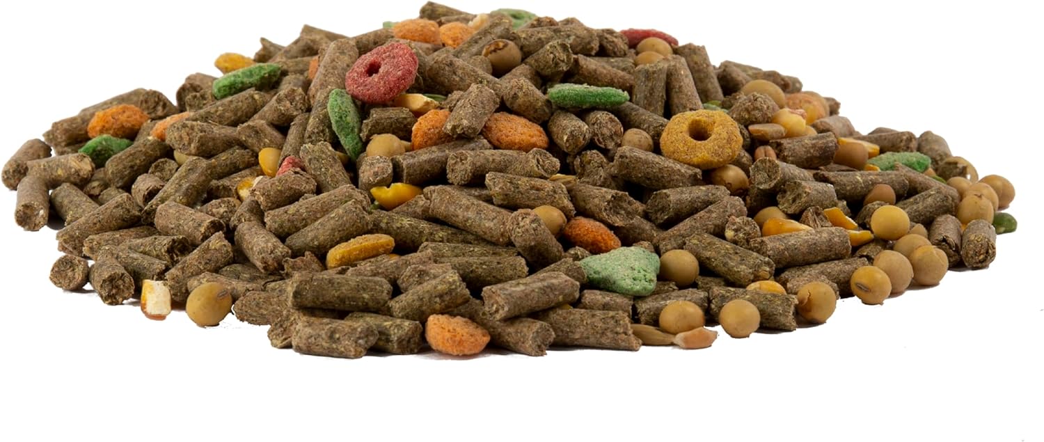 Wild Harvest Advanced Nutrition Guinea Pig, 4 Pounds, Complete And Balanced Diet - Happypetzone.online - Image 2