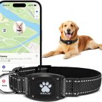 dog collar gps tracker