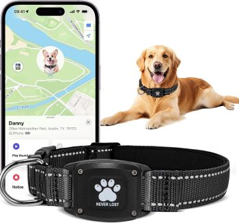 dog collar gps tracker