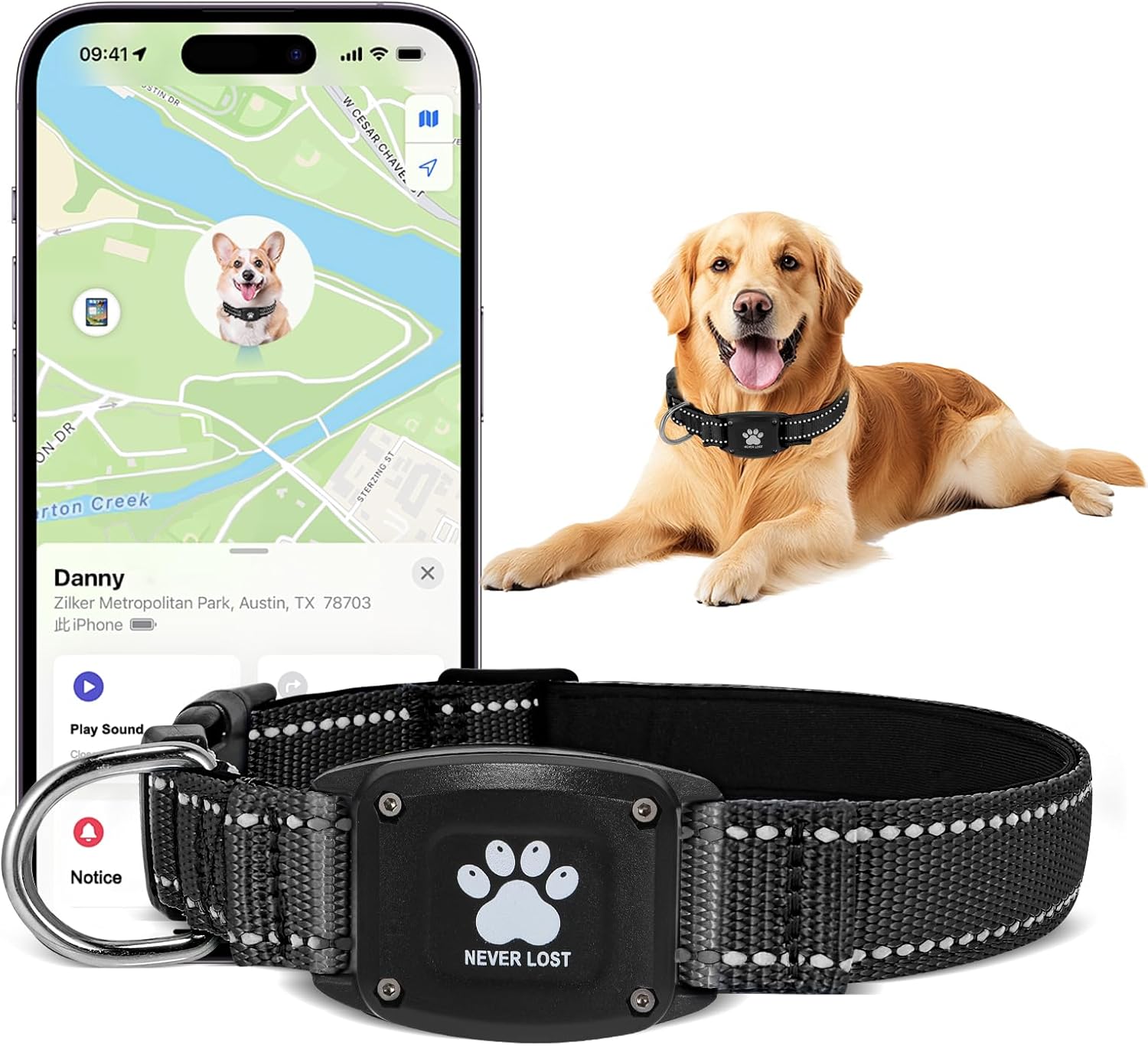 dog collar gps tracker