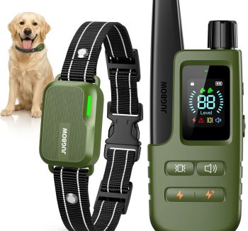 dog training collar
