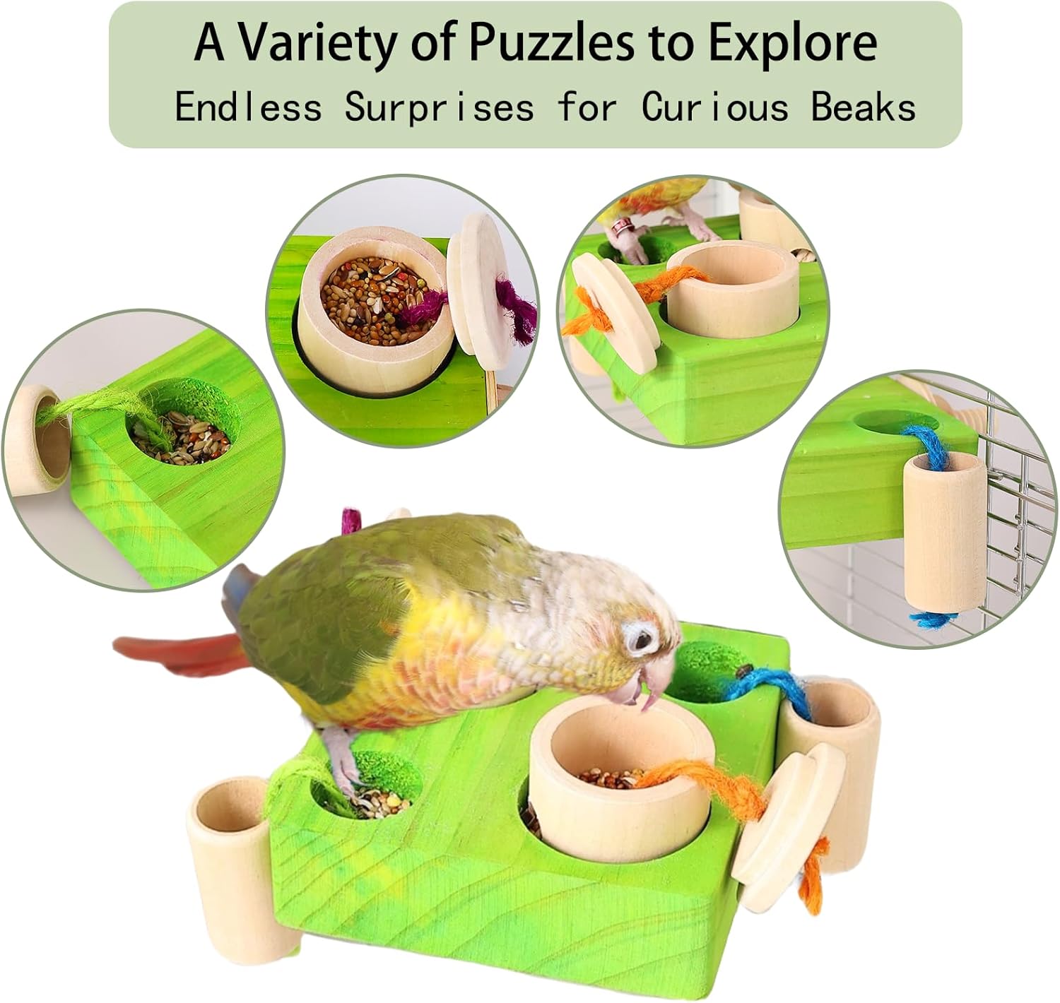 Birdie Puzzle Feeder - Interactive Foraging Toy for Parrots, Parakeets, Cockatiels, Conures | Mental Enrichment & Stimulation Game to Prevent Boredom (Green) - Happypetzone.online - Image 7
