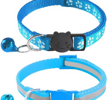 cat collar with bell