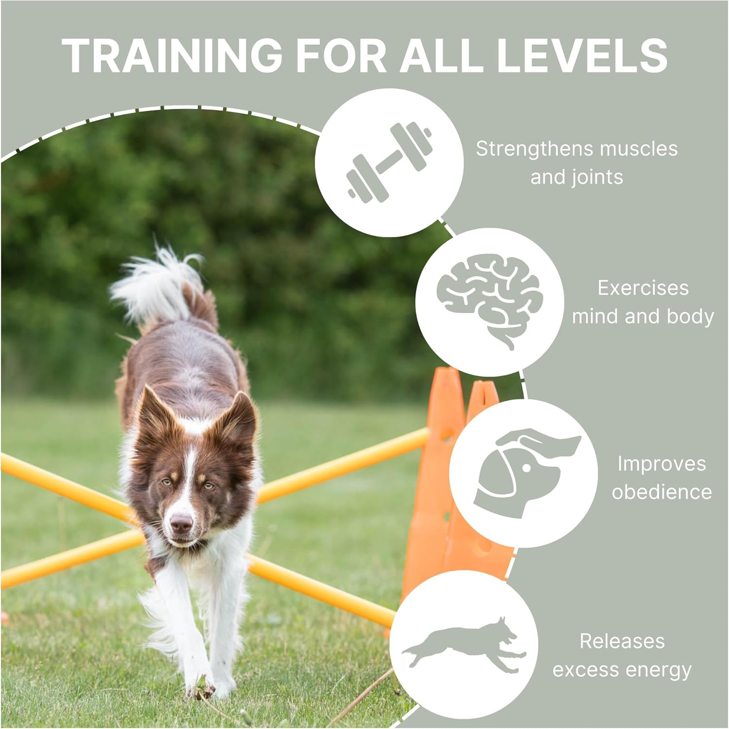 Trixie Dog Agility Hurdle Cone Set – Dog Agility Set with Height Adjustable Crossbar for Beginners & Advanced, Dog Agility Equipment for Dog Obstacle Courses – 6 x Cones, 3 x Agility Rods - Happypetzone.online - Image 5