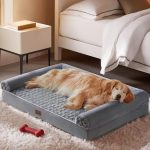 dog bed for big dogs
