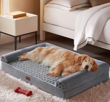 dog bed for big dogs