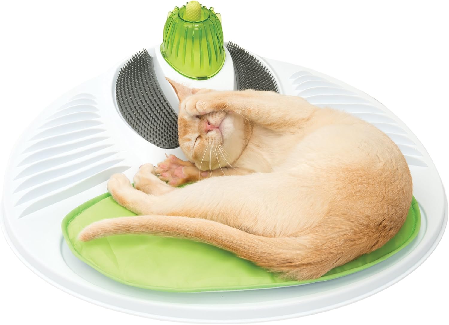 cat wellness products