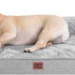 dog bed memory foam