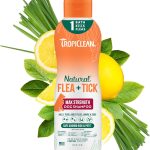 dog flea shampoo