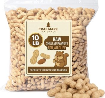 bird food for large birds