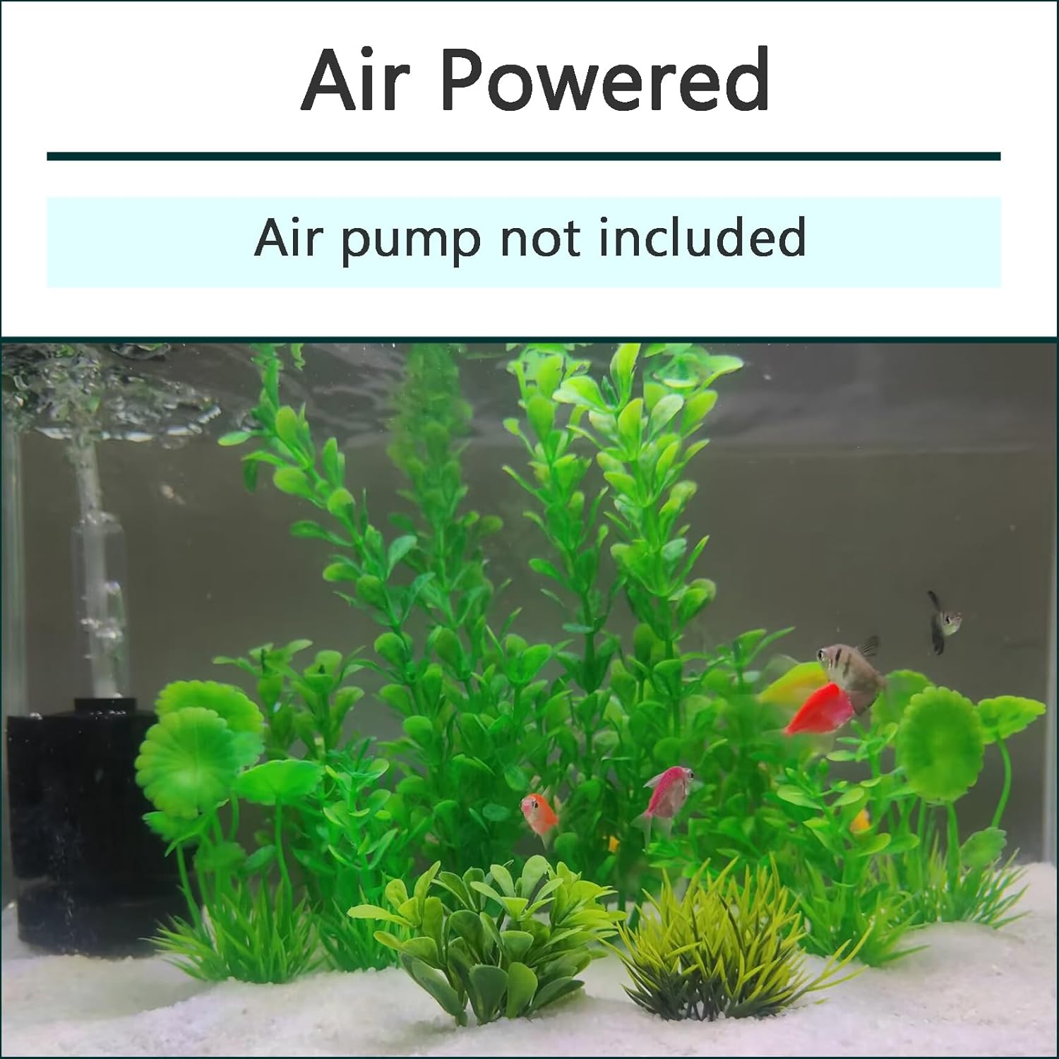 AQUANEAT 3 Pack Aquarium Bio Sponge Filter Breeding Fry Betta Shrimp Nano Fish Tank (Small up to 10Gal) - Happypetzone.online - Image 5