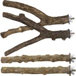 bird perch natural wood