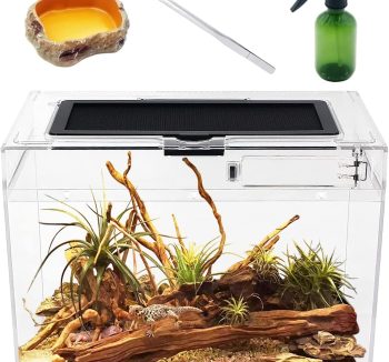 reptile tank with screen top