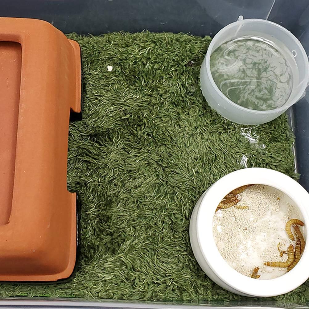 kathson 2pcs Reptile Carpet Terrarium Liner Tortoise Bedding Reptile Substrate Liner Mat Pet Cage Mats Supplies for Lizard Snake Bearded Dragon Gecko Chameleon Turtle Iguana (11.81 X 7.87 in) - Happypetzone.online - Image 5
