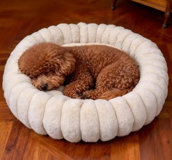 cat bed soft