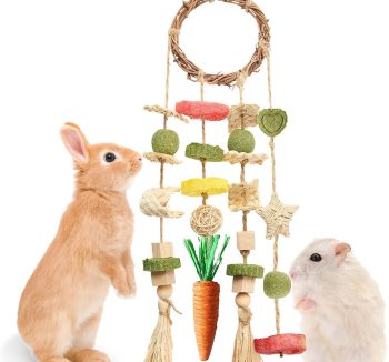 guinea pig toys fun