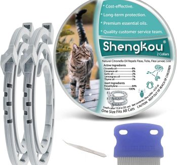 cat flea treatment