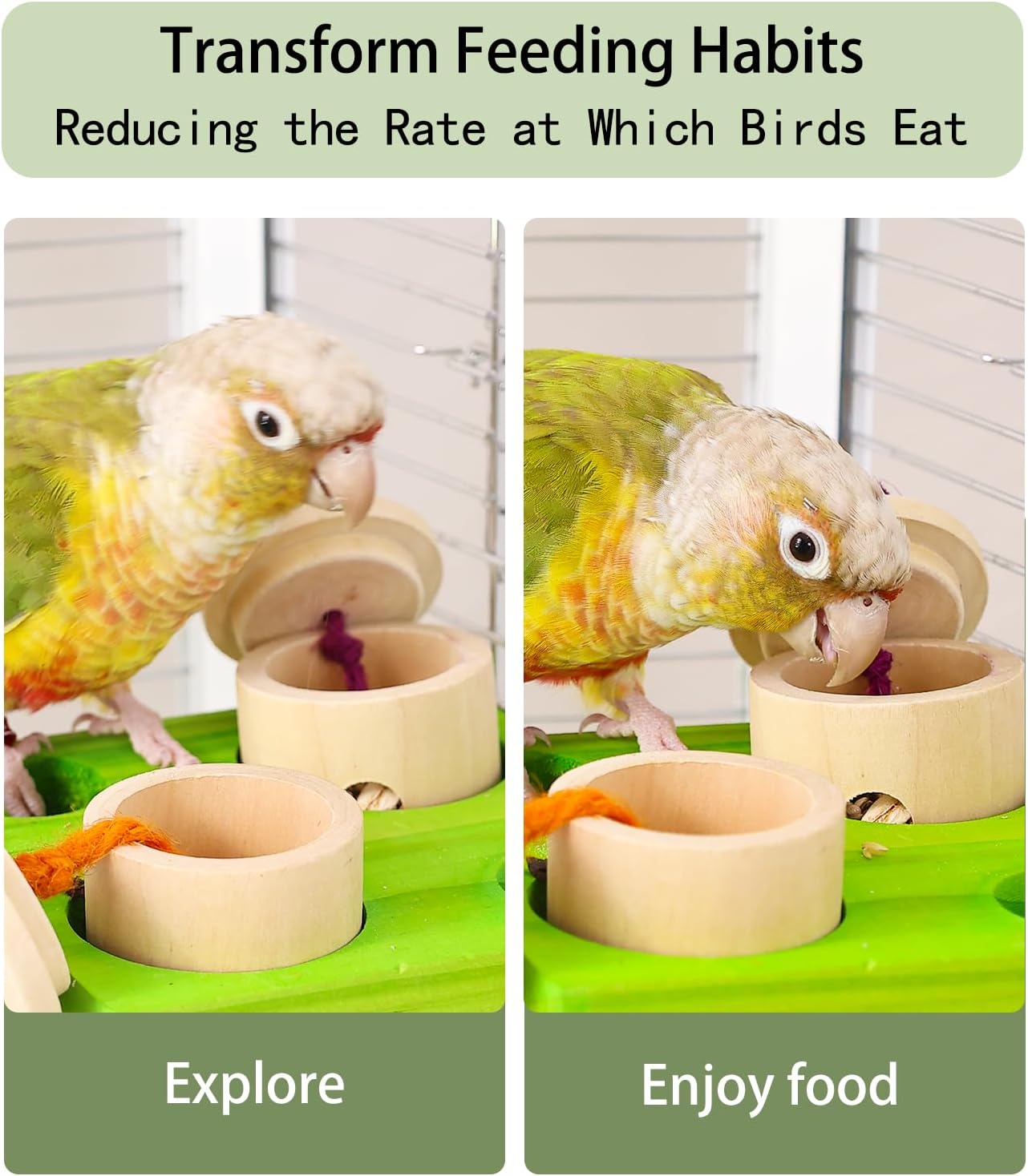 Birdie Puzzle Feeder - Interactive Foraging Toy for Parrots, Parakeets, Cockatiels, Conures | Mental Enrichment & Stimulation Game to Prevent Boredom (Green) - Happypetzone.online - Image 6
