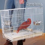 bird cage travel