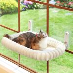 cat hammock window