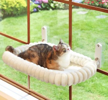 cat hammock window