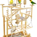 bird play perch stand