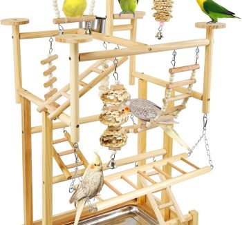 bird play perch stand