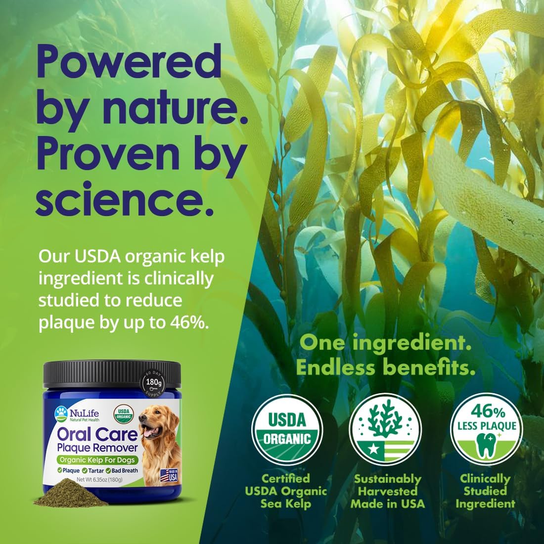 Dog Teeth Cleaning Powder, Dog Plaque and Tartar Remover, Bad Breath Treatment for Dogs with USDA Organic Sea Kelp Powder, Dog Dental Care Made Easy, for All Ages, 6oz - Happypetzone.online - Image 2