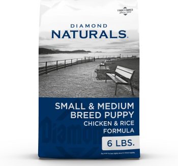 natural dog food