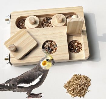 bird puzzle toys