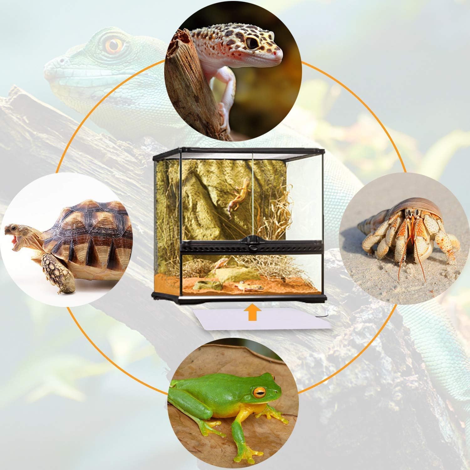 Aiicioo Under Tank Heater Thermostat - Reptile Heating Pad with Temperature Control Reptile Heat Mat for Combo Set for Hermit Crab Lizard Terrarium 16W - Happypetzone.online - Image 7