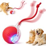 interactive dog toys