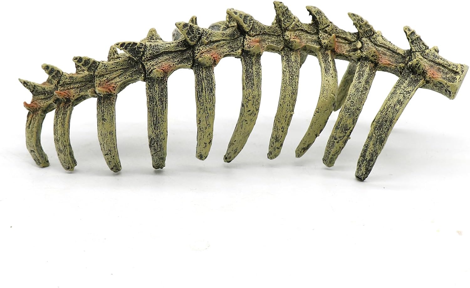 relaqcc Aquarium Skull Animal Skeletons, Reptile Tank Accessories, Fish Tank Decorations for Amphibians, Betta Fish, Shrimp, Hermit Crab, Leopard Gecko - Happypetzone.online - Image 9