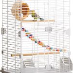 bird cage indoor
