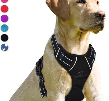 dog harness no pull