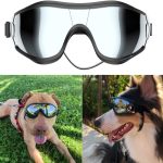 dog sunglasses