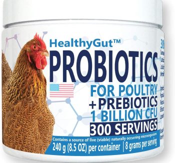 bird probiotic supplement