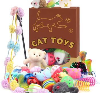 cat toys for kittens