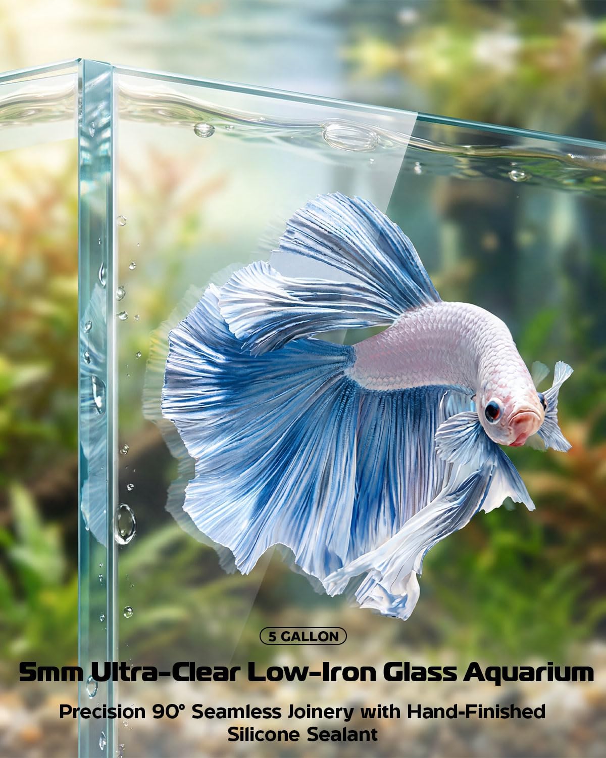Glass Fish Tank Kit, 5 Gallon Betta Fish Tank Aquarium Starter Kit with Filter, Lights, Lid, for Betta, Goldfish, Small Fish or shrimg,Clear - Happypetzone.online - Image 4
