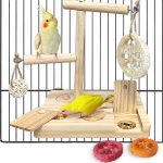 bird puzzle toys