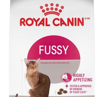 cat food for kittens