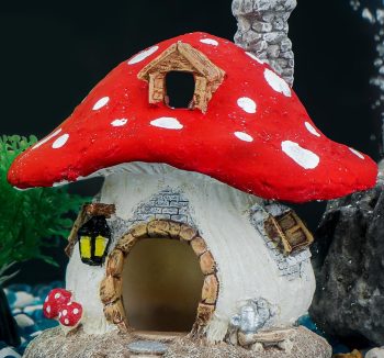 fish tank for home decor
