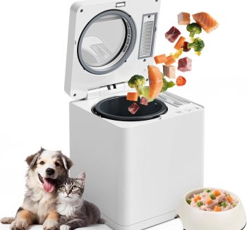 dog food for senior dogs