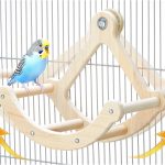 bird swing toys