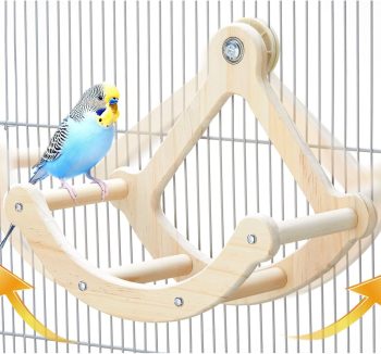 bird swing toys