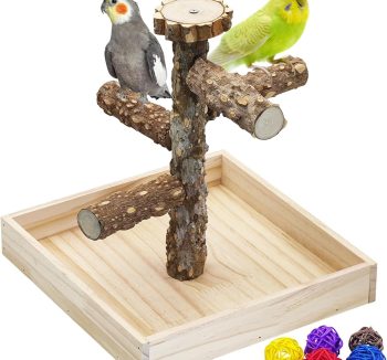 bird perch stand