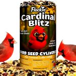 bird seed mix