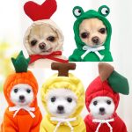 dog clothing amazon
