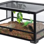 reptile tank for beginners
