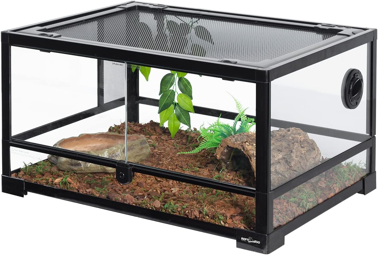 reptile tank for beginners
